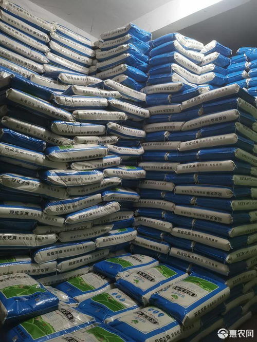 白芝麻價格趨勢與行業(yè)應用分析